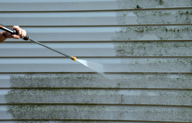 Best Pressure Washing Driveway  in Cordova, NC