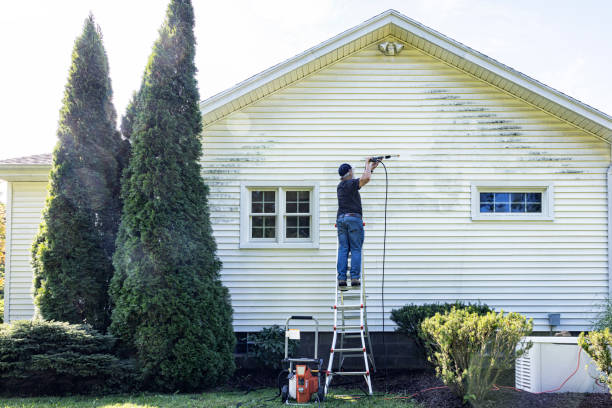 Best Pressure Washing Patio  in Cordova, NC